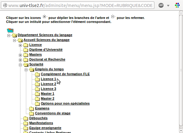 diplome universitaire fle debouches